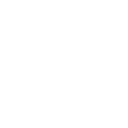 Aipt-slider_serv2